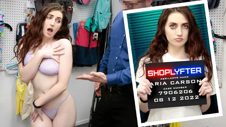 Case No. 7906206 - Repeat Offender - Shoplyfter